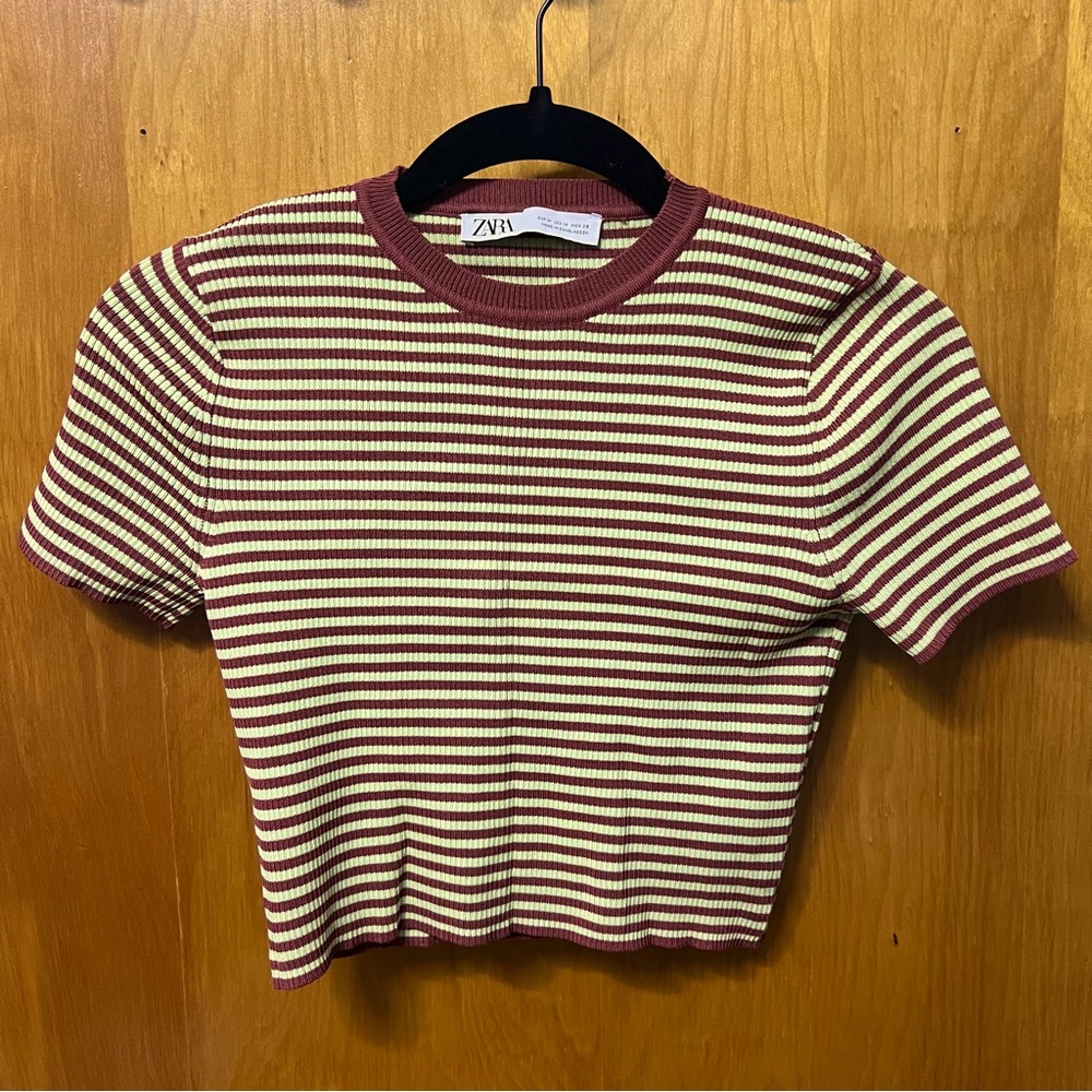 Zara Striped Ribbed Knit Top